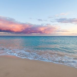 Meet your Posher, Cait